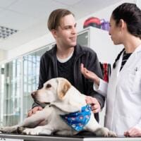vet giving advice to dog owner