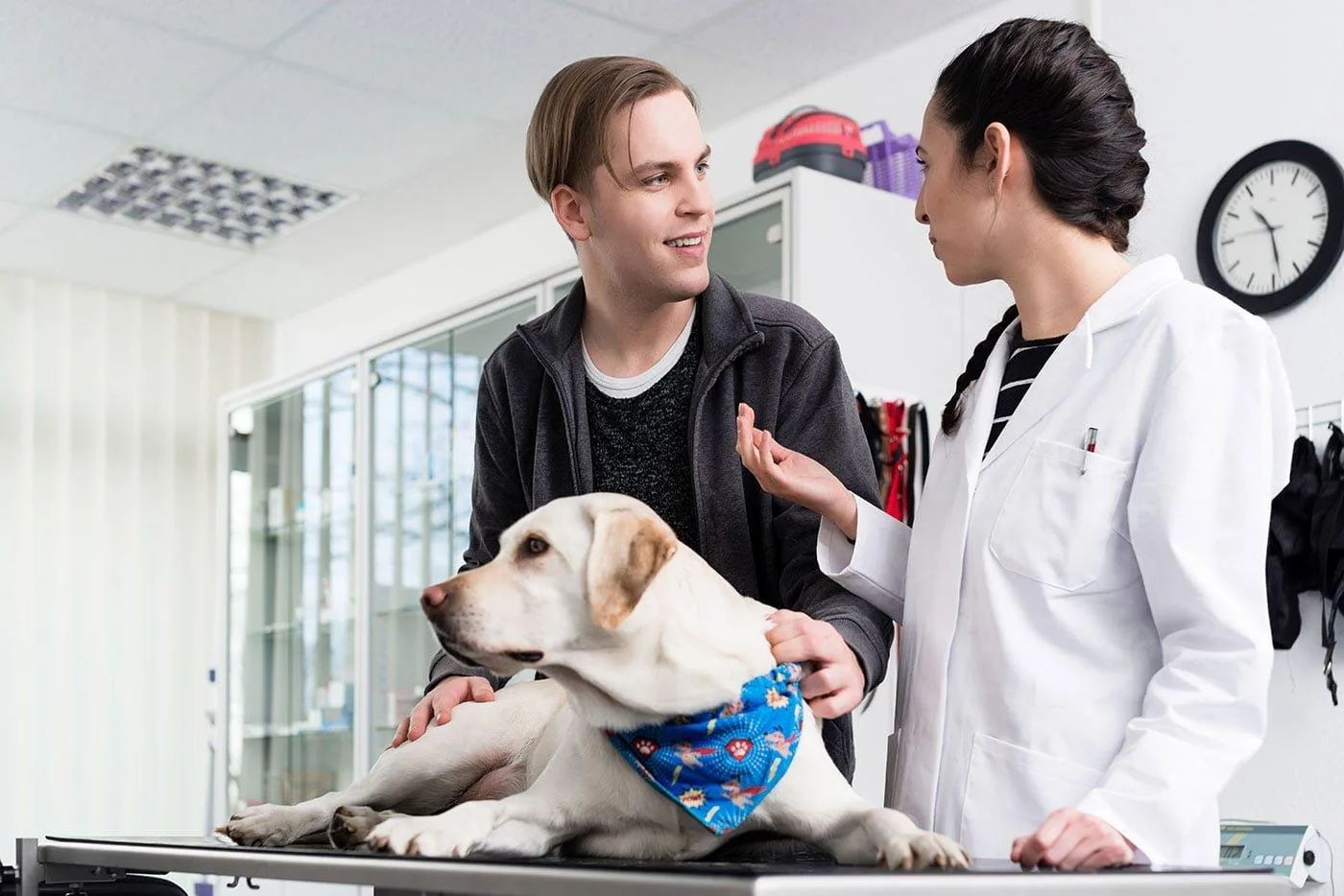 vet_advice vet giving advice to dog owner